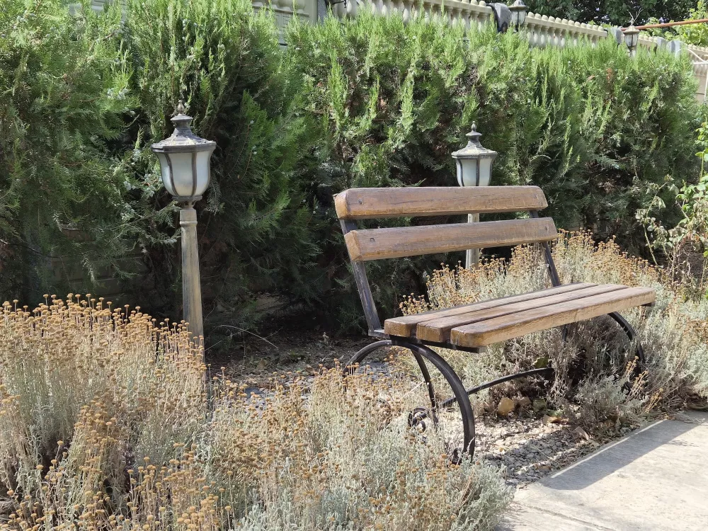 Зум 2X, день Зум 2X, день