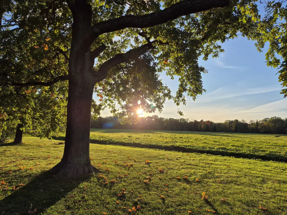 Galaxy S24 FE Galaxy S24 FE
