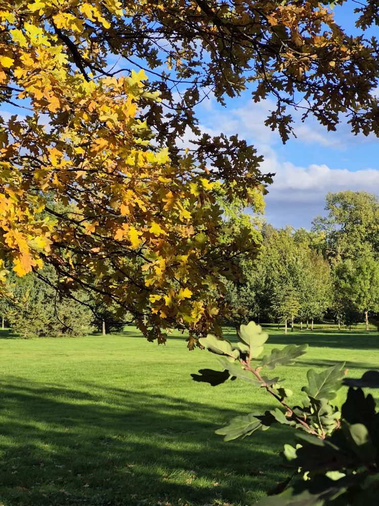 Galaxy S24 FE Galaxy S24 FE