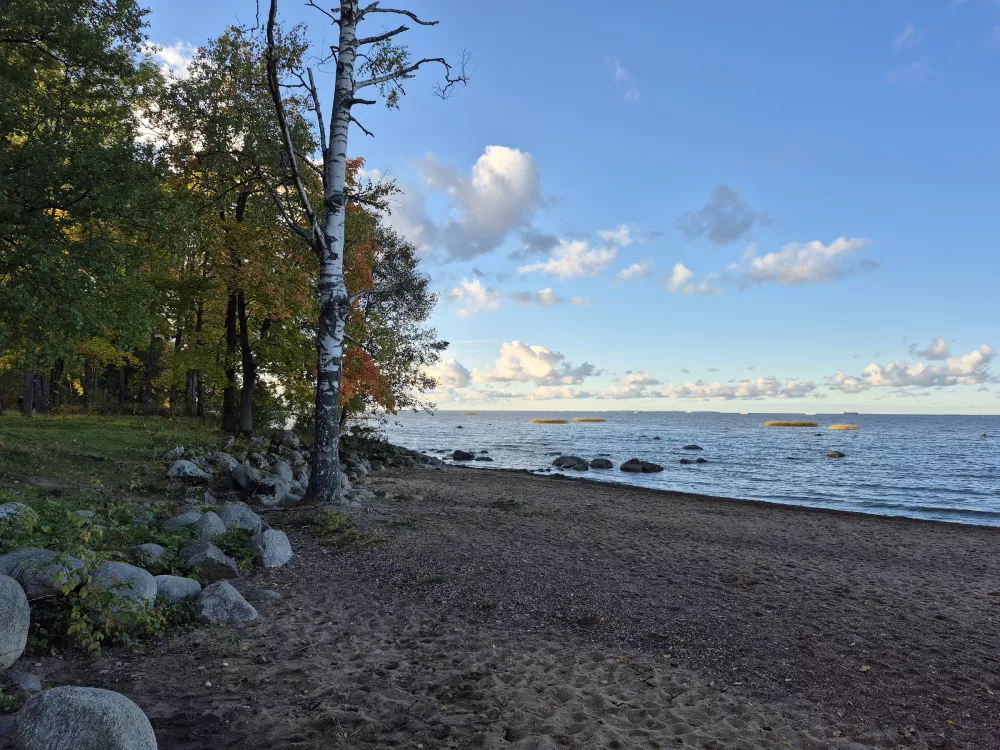 Galaxy S24 FE Galaxy S24 FE