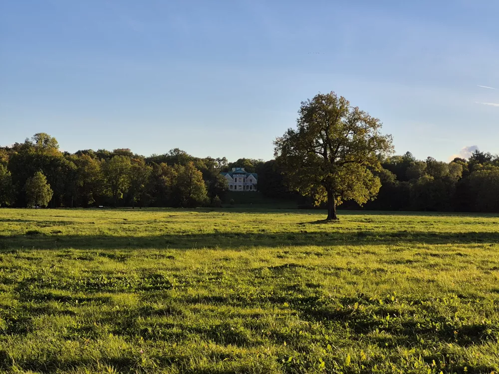 Galaxy S24 FE Galaxy S24 FE