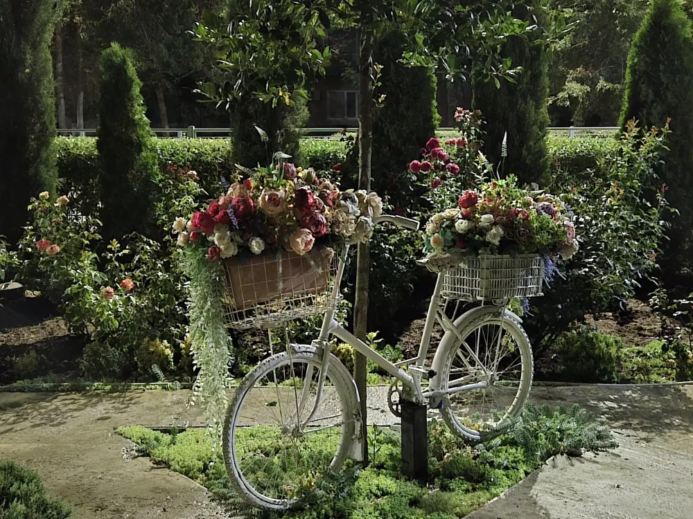 Зум 2X, ночь Зум 2X, ночь