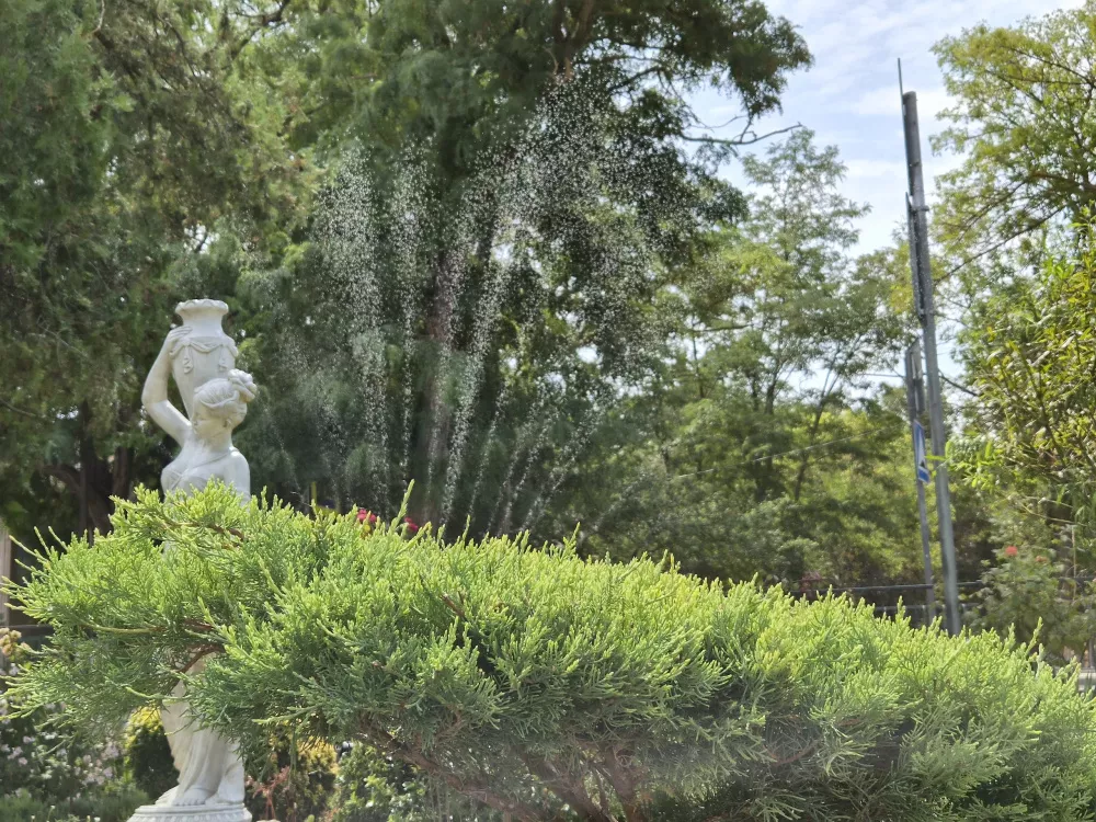 Зум 2X, день Зум 2X, день