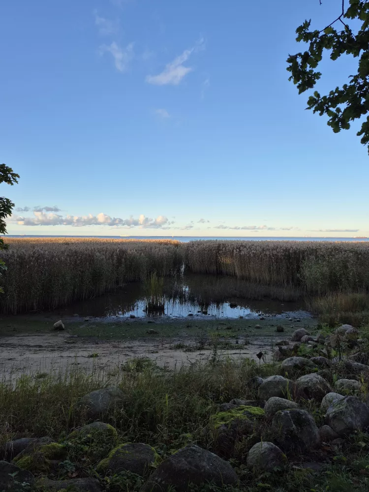 Galaxy S24 FE Galaxy S24 FE