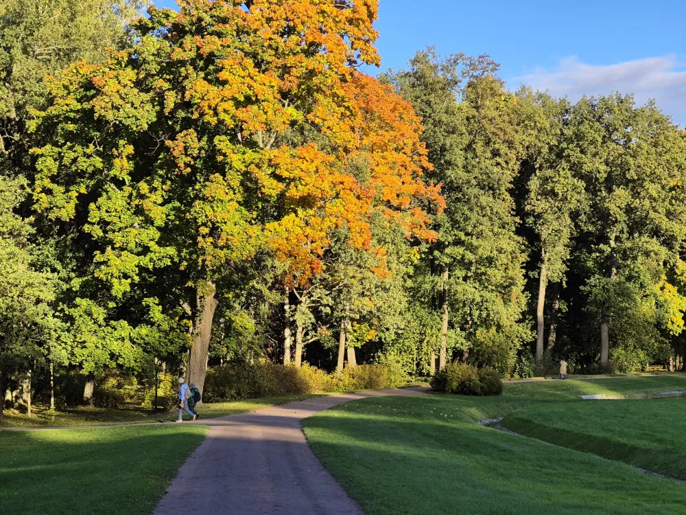 Galaxy S24 FE Galaxy S24 FE