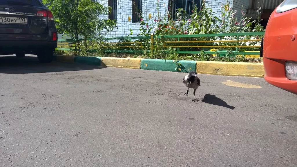 Обзор Nokia Lumia 930