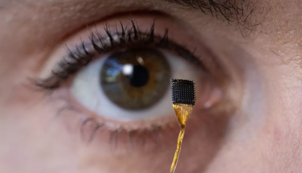 Чип укрфукрфуерфер.png