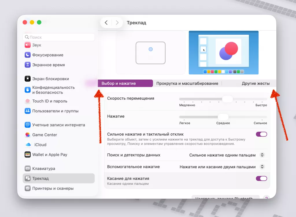 Снимок экрана 2025-06-11 в 11.05.48.png