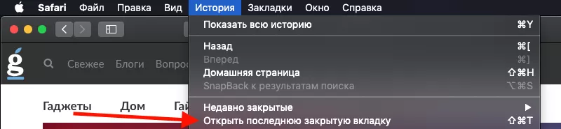 Как открыть закрытые вкладки в Safari на Mac Как открыть закрытые вкладки в Safari на Mac