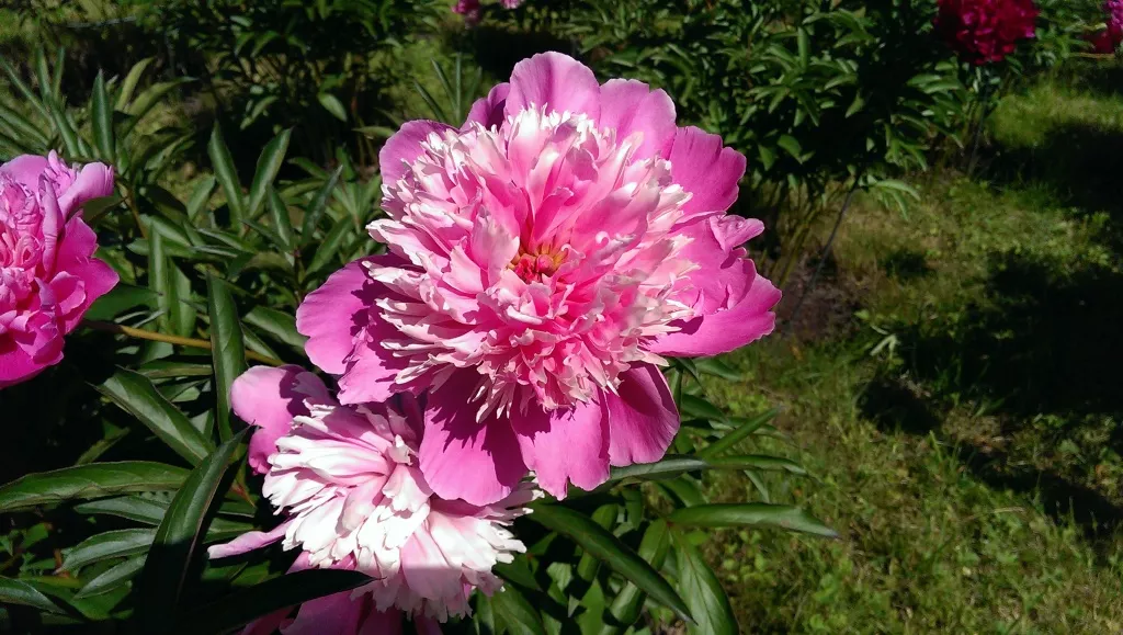 фото с камеры HTC One dual sim