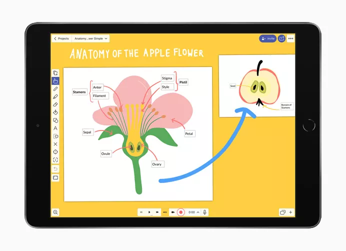 Explain Everything Whiteboard Explain Everything Whiteboard