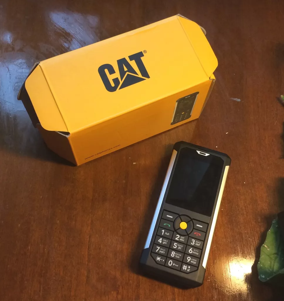 cat b100