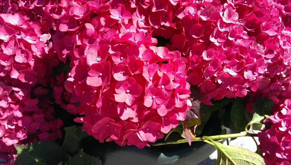 фото с камеры HTC One dual sim