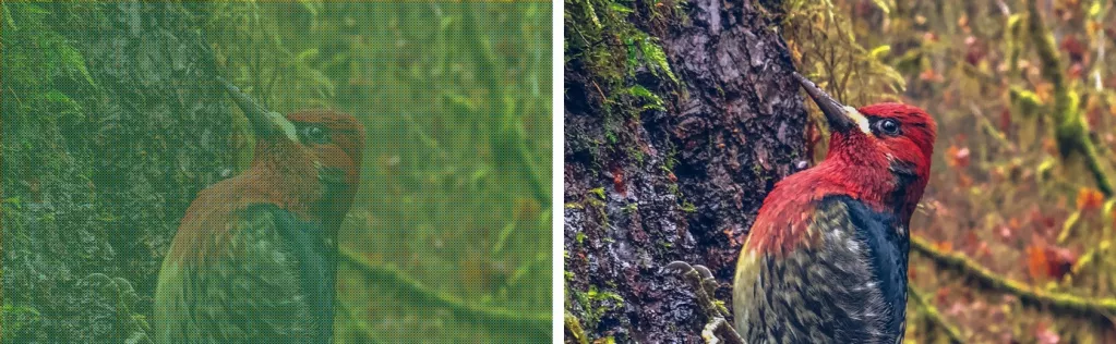 Что такое RAW формат в смартфоне Что такое RAW формат в смартфоне