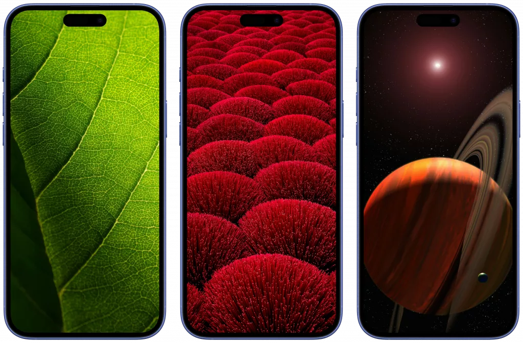 Скачать обои на телефон