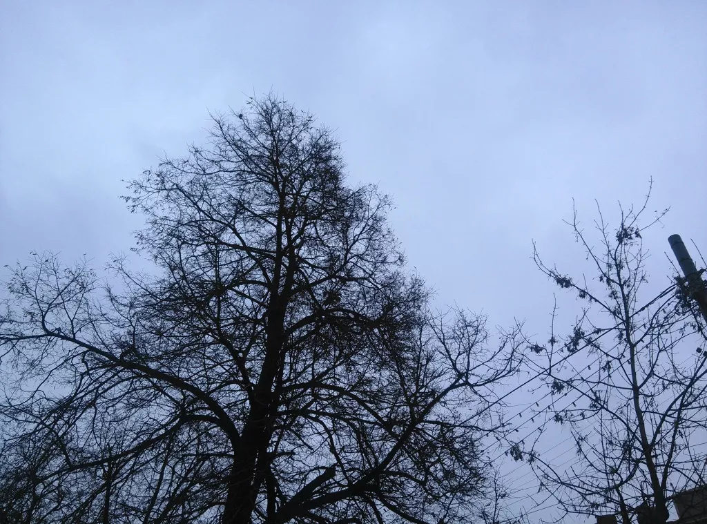 ZTE Nubia Z5s mini, примеры фото ZTE Nubia Z5s mini, примеры фото