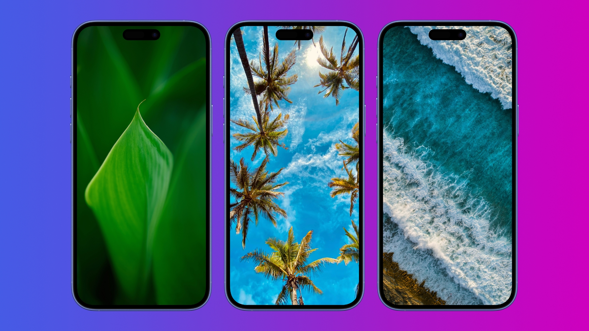 Обои на телефон: наконец-то, лето!