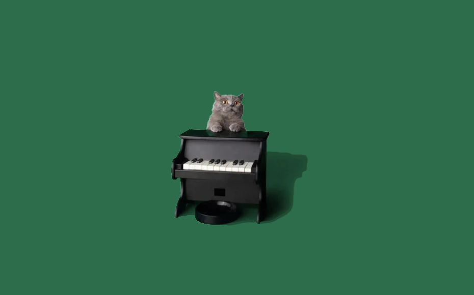 Милота дня: музыкальная кормушка для котиков и пёселей. Грех такую не купить