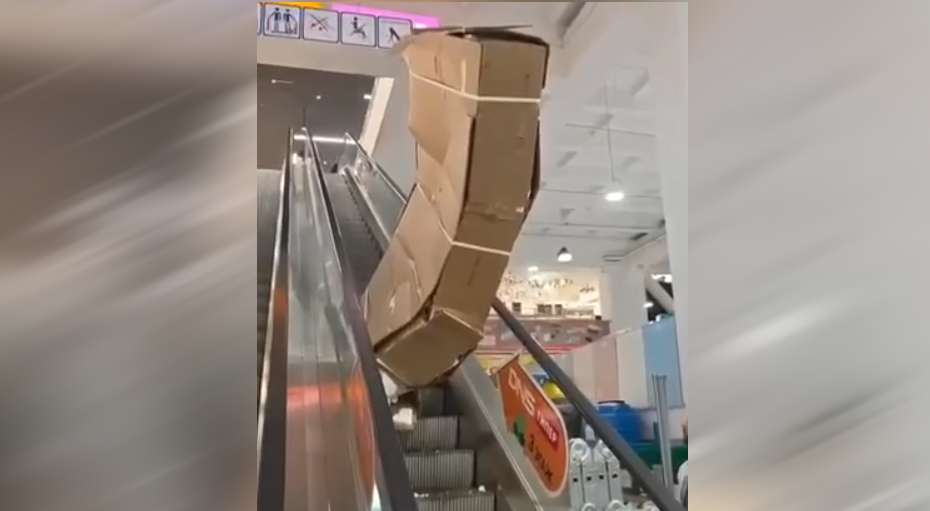 Помните историю, как в DNS сплющило телевизор за 400 тысяч Стало известно, на кого легли эти расходы