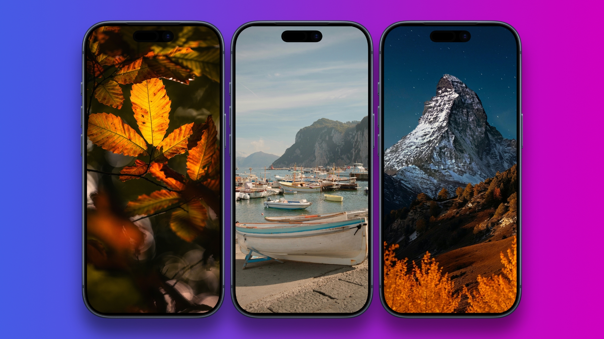 Обои на телефон: осень не отпускает