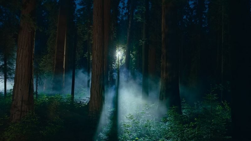 В macOS Sequoia появилось ещё больше новых обоев