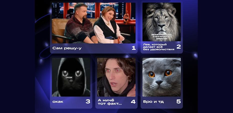 Пользователи ВКонтакте выбрали мемы года: в топе  Сам решу-у, в антитопе  Лабубу и шутки о миллениалах