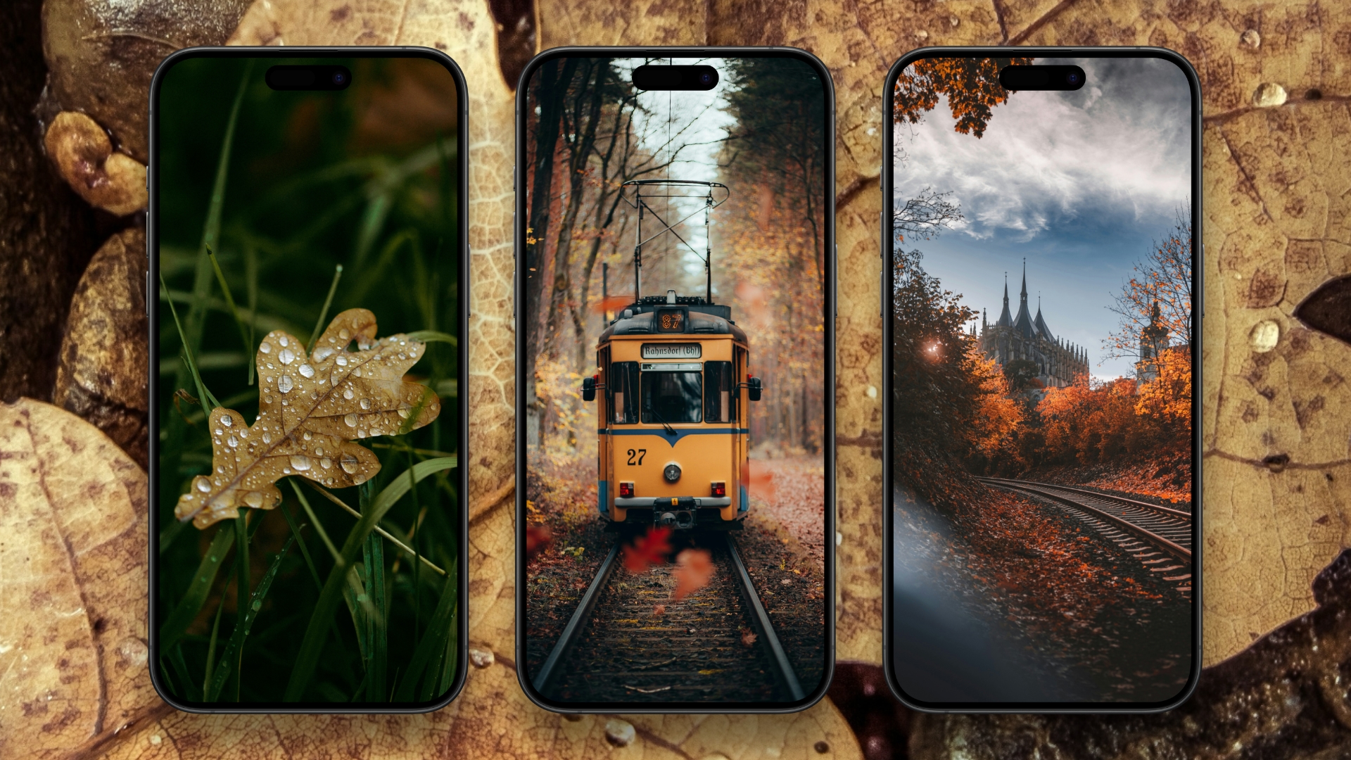 Обои на телефон: осенняя подборка