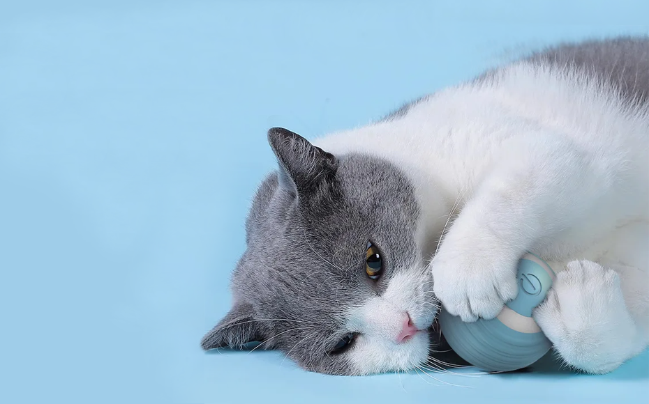 Нашли на AliExpress: гаджет для ленивых кошатников. Всего 300 рублей, а сколько радости