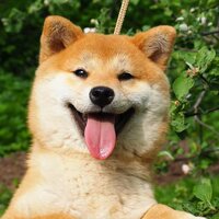 Евгений                    Ющенко