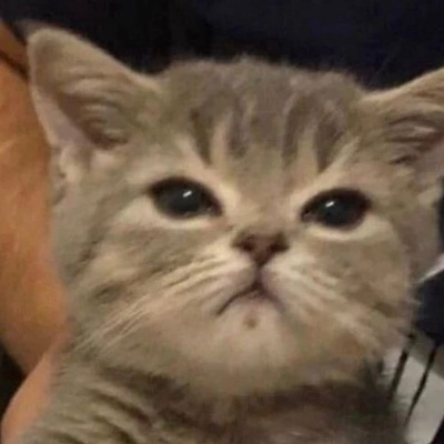 Василий                    Александров