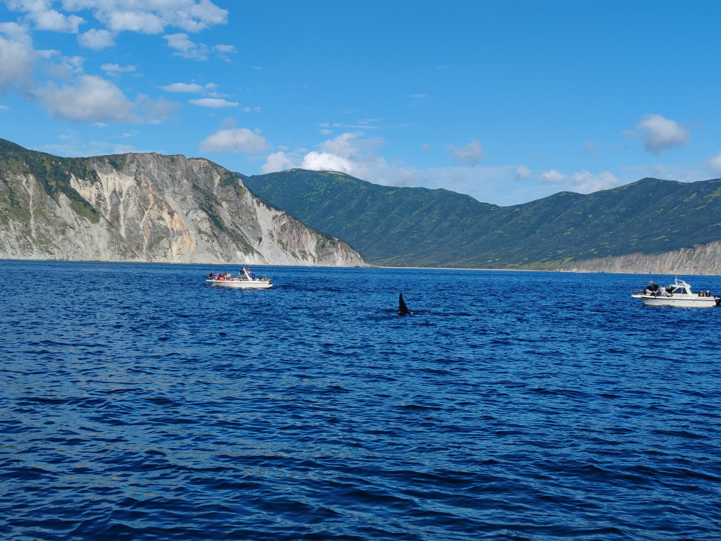 Фото на Honor 90