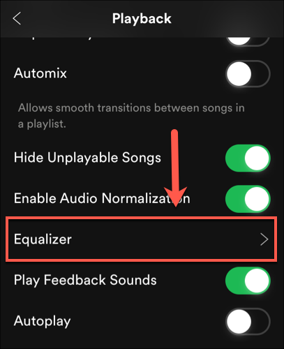 Эквалайзер Spotify (iOS)
