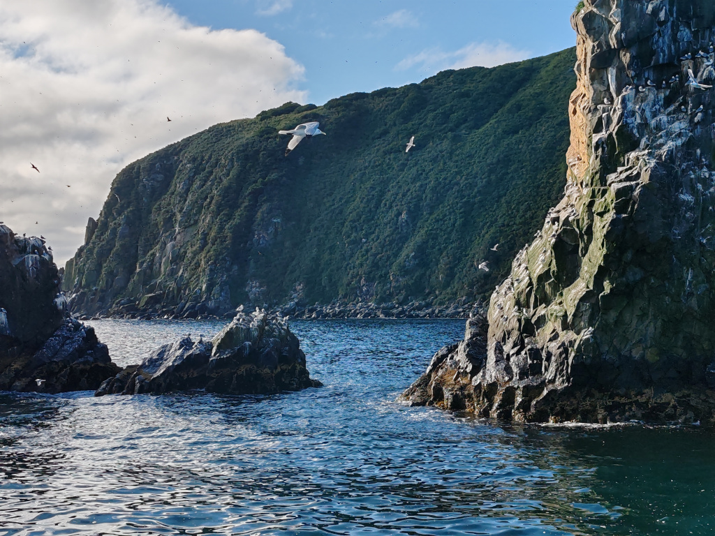 Фото на Honor 90