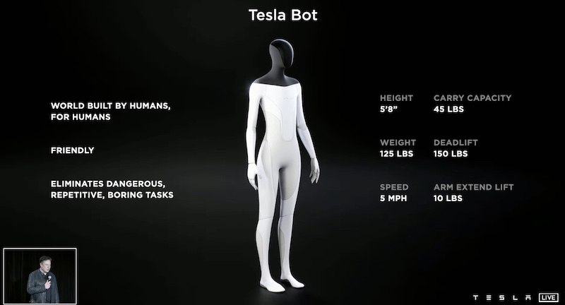 Tesla Bot