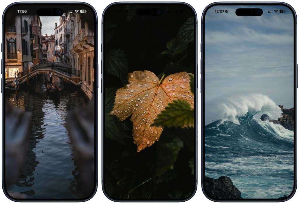 Обои на телефон