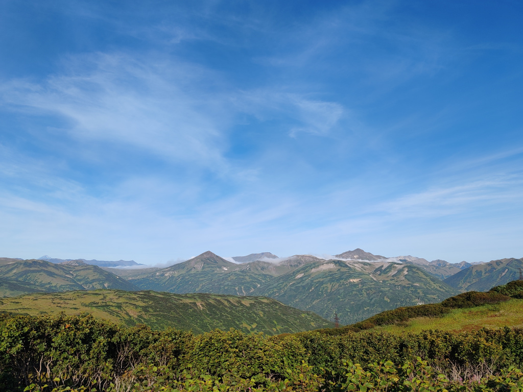 Фото на Honor 90