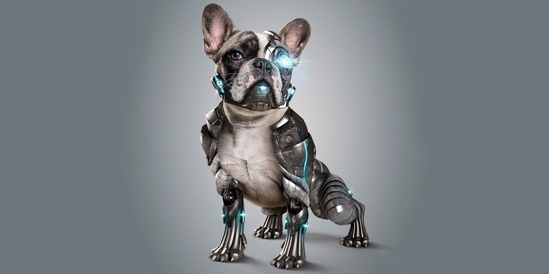 Можно ли научить искусственный интеллект думать как собака