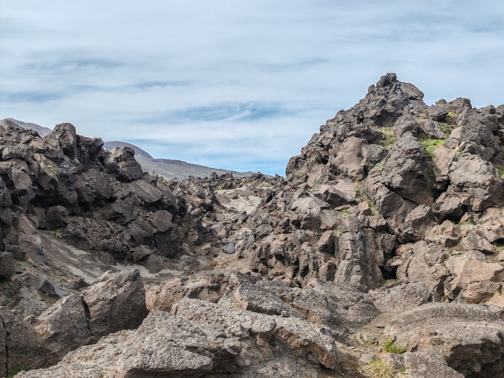 Фото на Honor 90