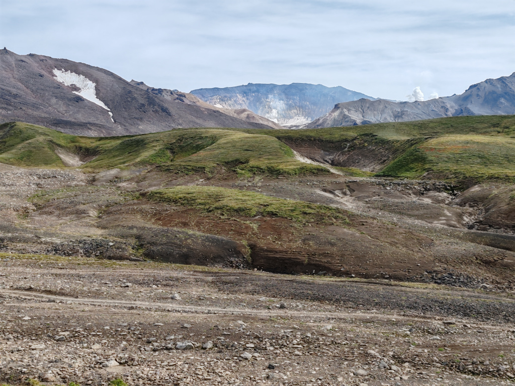 Фото на Honor 90