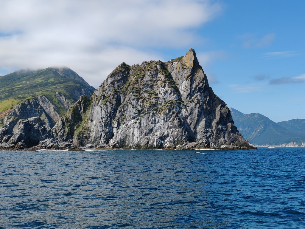 Фото на Honor 90