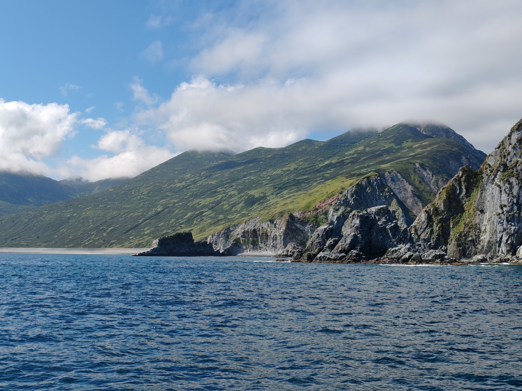 Фото на Honor 90