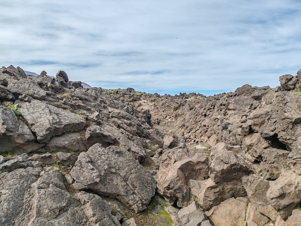 Фото на Honor 90