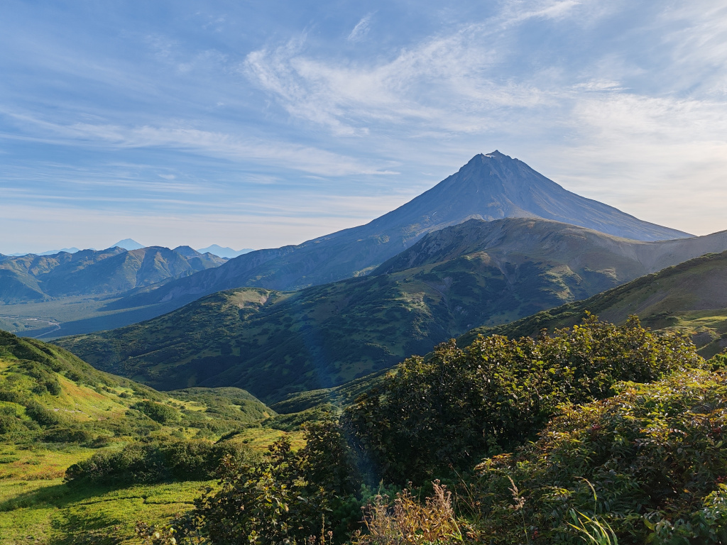 Фото на Honor 90