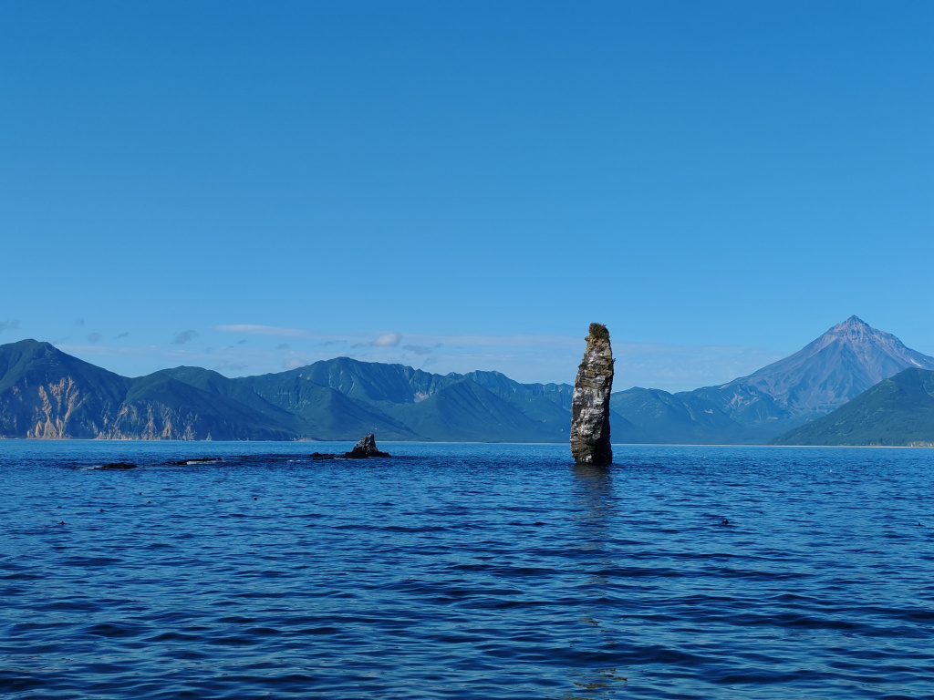 Фото на Honor 90