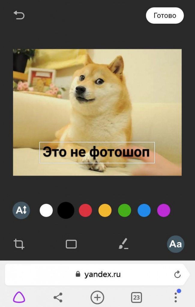 Яндекс.Картинки