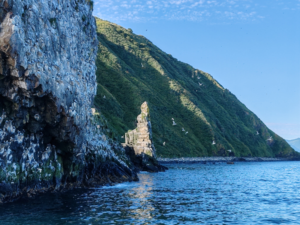 Фото на Honor 90