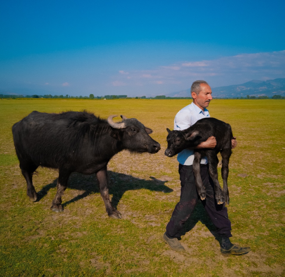 Новая жизнь