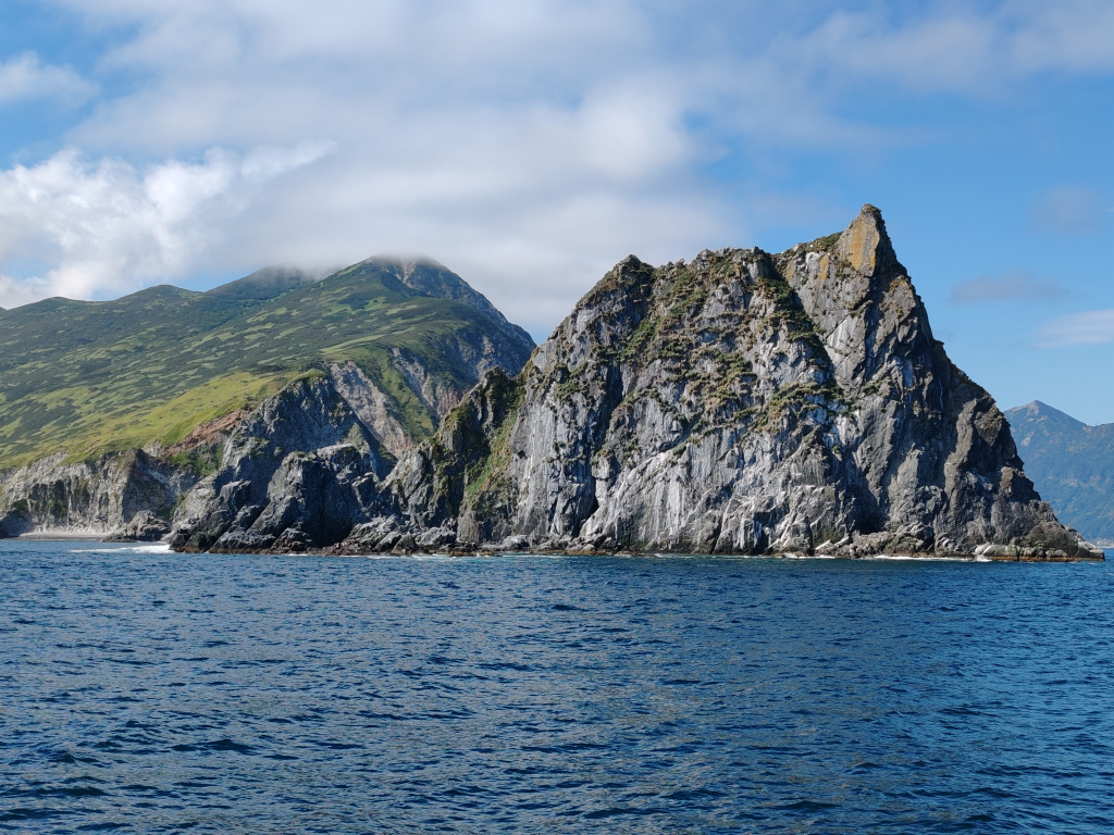 Фото на Honor 90