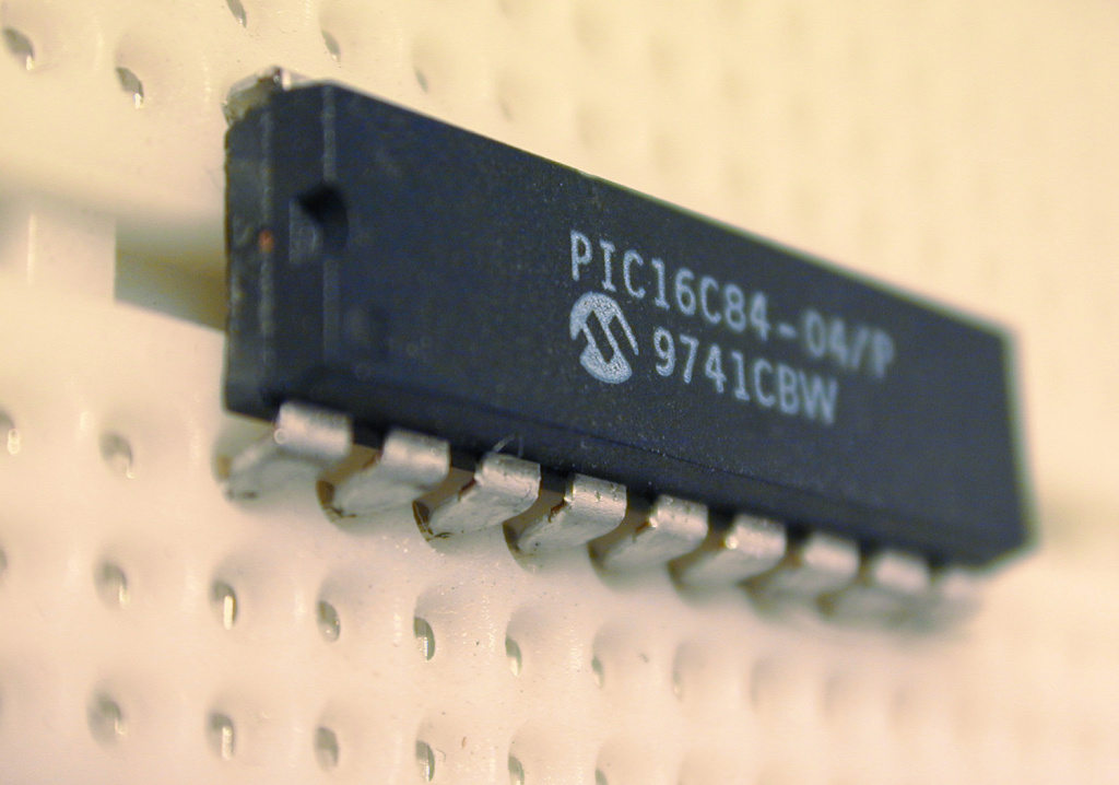 chip2895.jpg