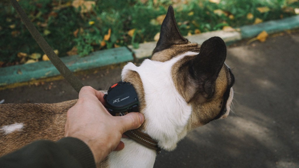 GPS трекер для собак Jet Pet Doggy